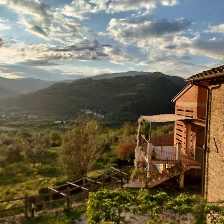 Agriturismo La Fontaccia Rufina Exterior foto