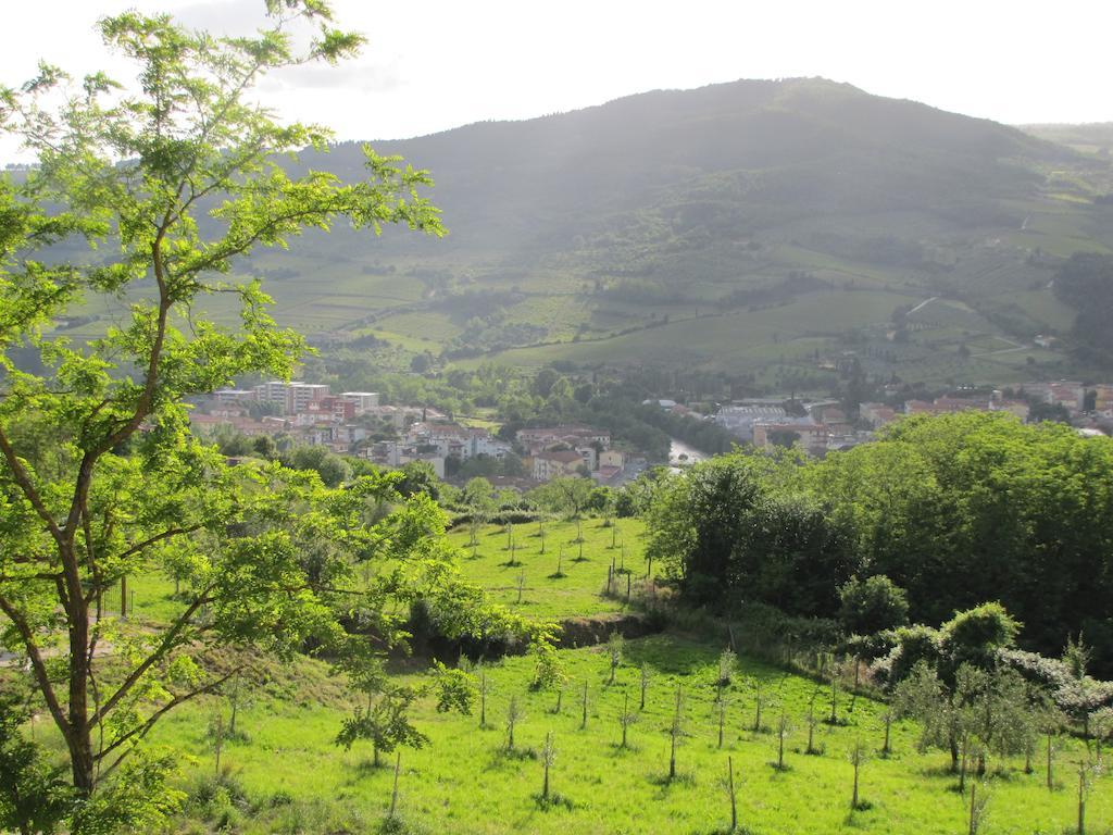 Agriturismo La Fontaccia Rufina Exterior foto